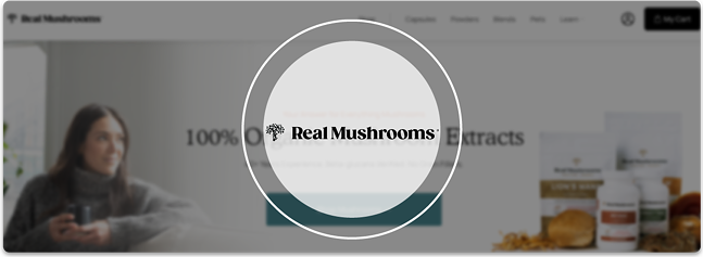 Mushroom Spores to Buy Online: The Top 5 Brands to Shop Now