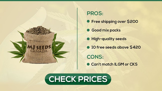 2023’s Best Canadian Seed Banks: Buy Cannabis Seeds from Canada (US Shipping)