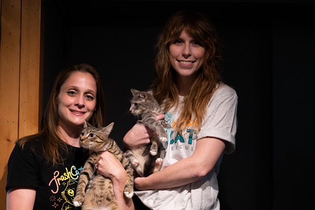 Best Place to Adopt a Pet 2023: Trash Cat Rescue