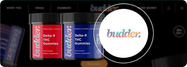 6 Best THC Gummies: THC Brands To Try In 2024