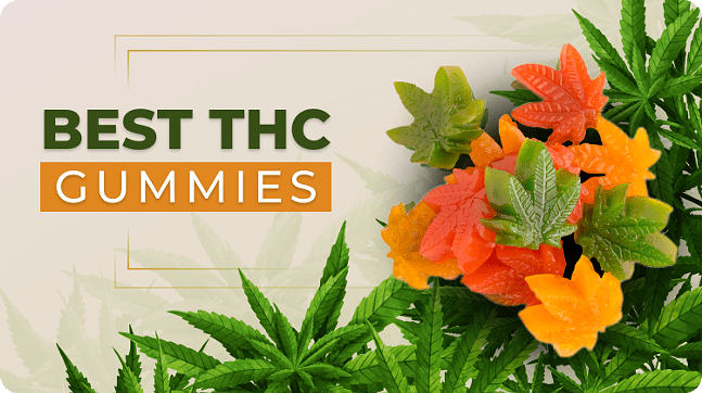 6 Best THC Gummies: THC Brands To Try In 2024
