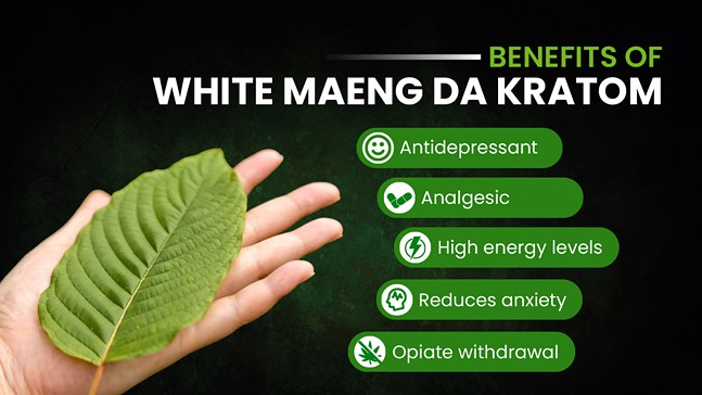 White Maeng Da Kratom Guide: Effects, Benefits & Dosage + Where to Buy