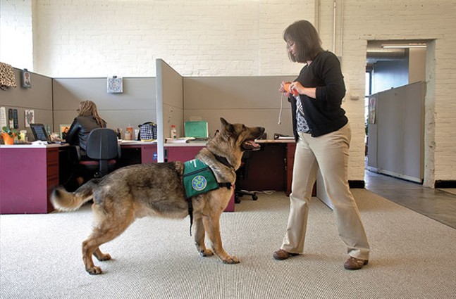 A new program pairing child-abuse victims with dogs helps with healing