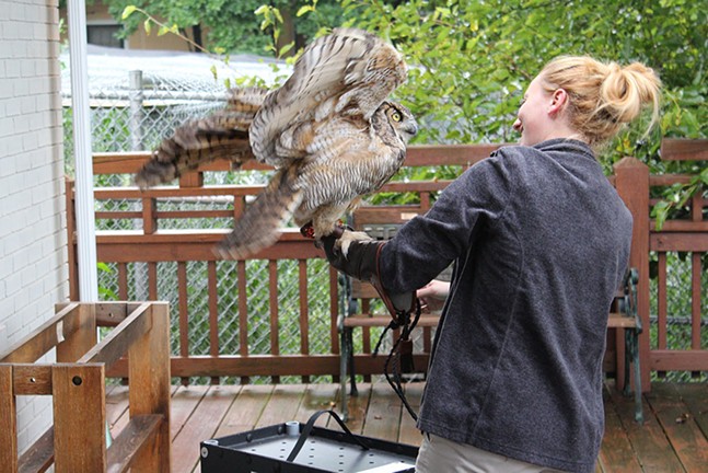 Humane Animal Rescue pairs yoga with owls (4)