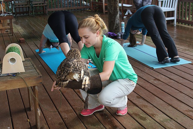 Humane Animal Rescue pairs yoga with owls (11)