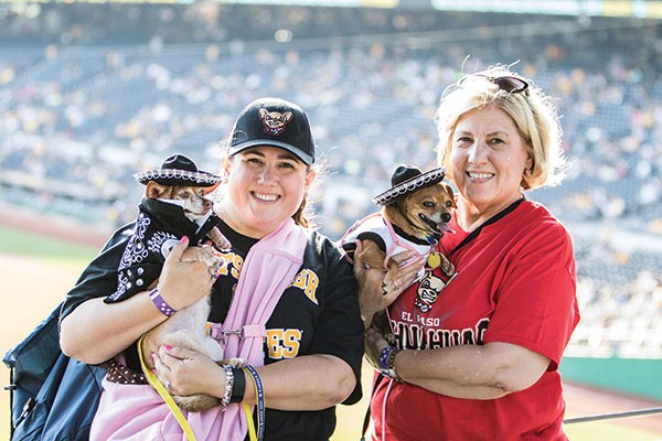 ARI@PIT: Fans, canines celebrate Pup Night at PNC 