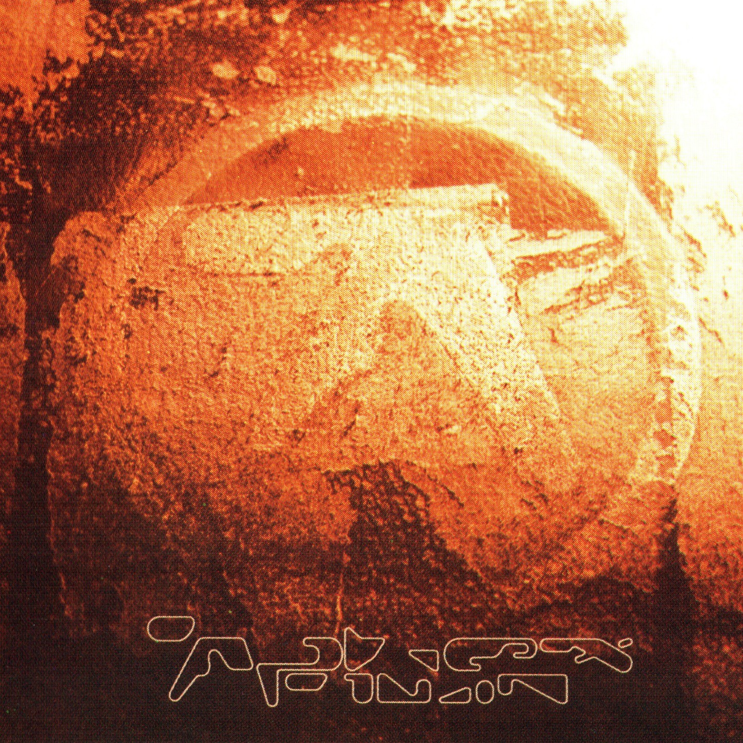 HOT送料無料 Aphex Twin Selected Ambient works 新品レコードの通販