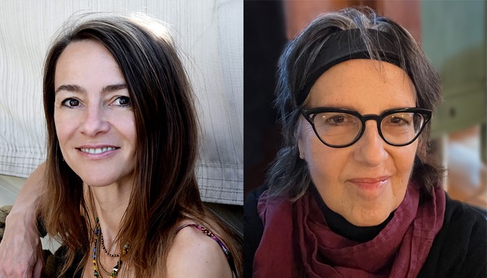 Mihaela Moscaliuc and Judith Vollmer on poetry, friendship | Pittsburgh ...