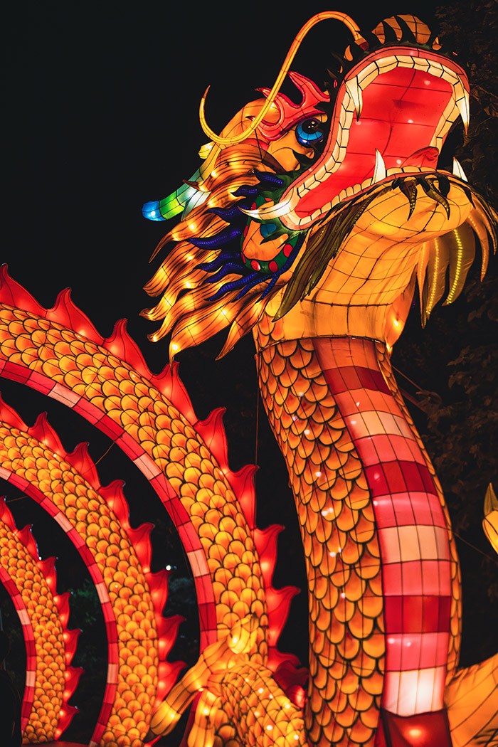 Asian Lantern Festival brings spectacular display of lights, culture to