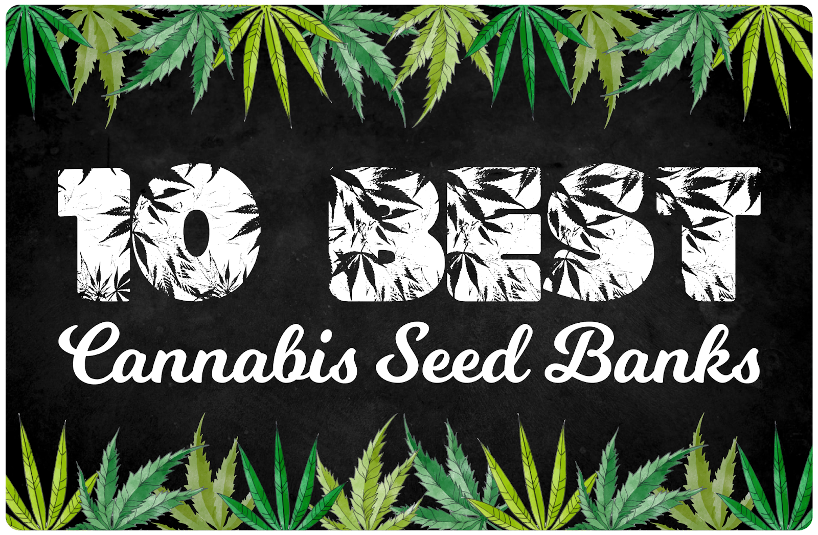 Bong Smoking Marijuana, Buy Cannabis Seeds Online