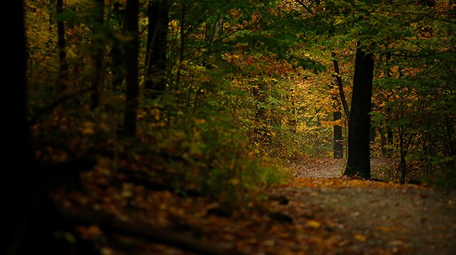 Five walks for enjoying Western Pennsylvania’s stunning fall landscapes