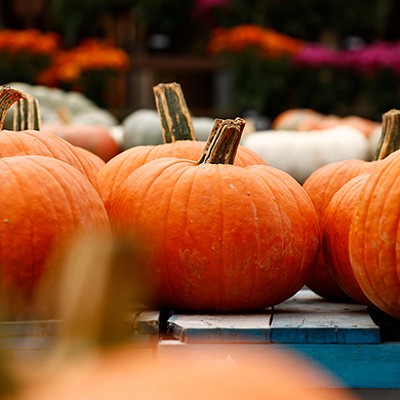 Pick your own pumpkins and apples at these local farms this fall