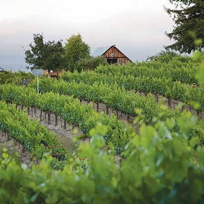 A Pittsburgh-native winemaker makes good in California