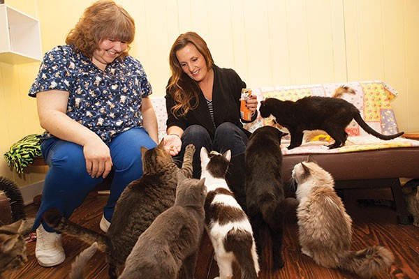 Veterinarian Becky Morrow, left, and animal activist Margo Cicci with several rescue cats