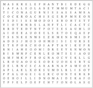 Winter Guide Word Search